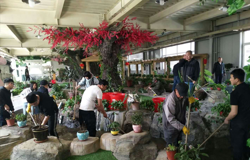 色情片
开展“情暖夕阳、爱老助老”志愿服务