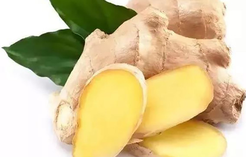 药您知道 | No.37生姜的作用