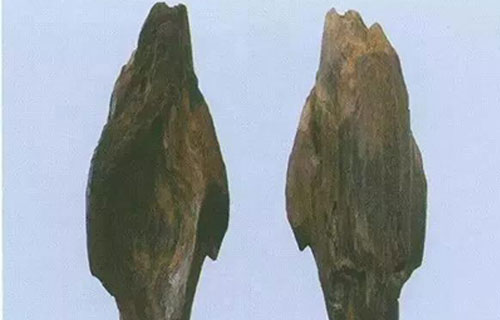 药您知道 | No.54沉香的作用