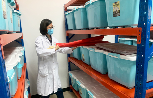 抗疫爱卫，色情片
党员先行