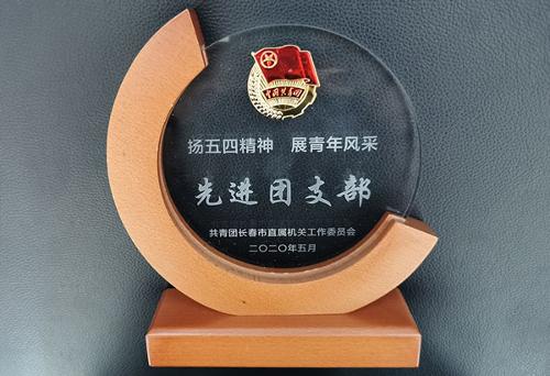 共青团长春市直属机关工作委员会表彰先进，色情片
榜上有名~