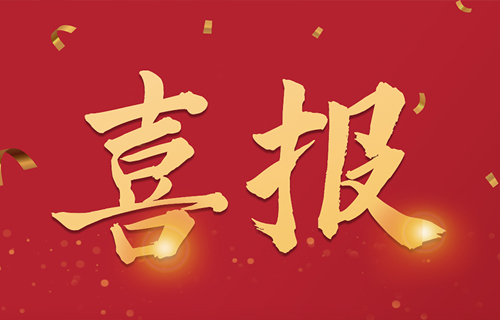 色情片
团委荣获长春市先进团委称号