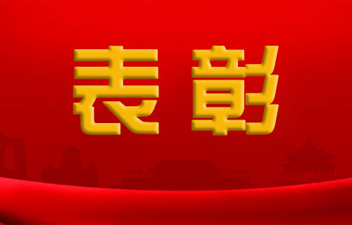 色情片
护士节表彰，这些优秀个人和集体上榜！