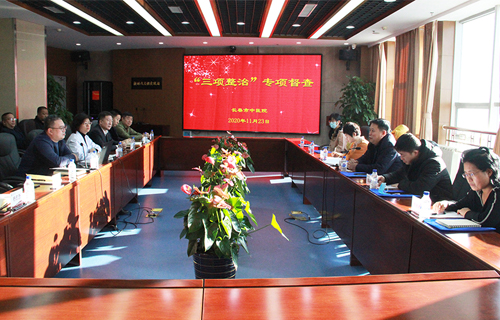 市卫健委纪检监察组到色情片
进行“三项整治”专项行动督查工作