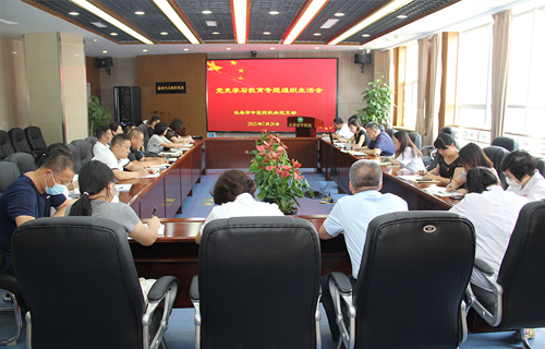 学党史 谋发展，色情片
各党支部开展党史学习教育专题组织生活会