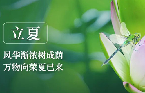 【立夏】养生重在养阳，这几点要做好！