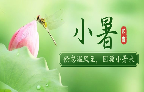 【小暑】“桑拿天”里养生，您要注意这几点！