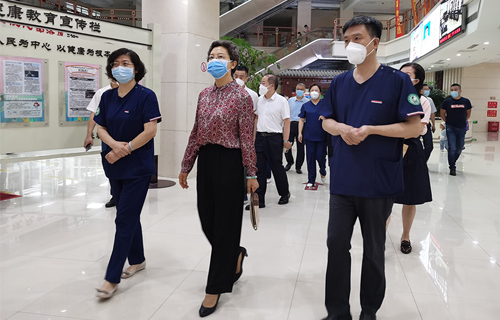 市政协调研色情片
中医药传承创新情况