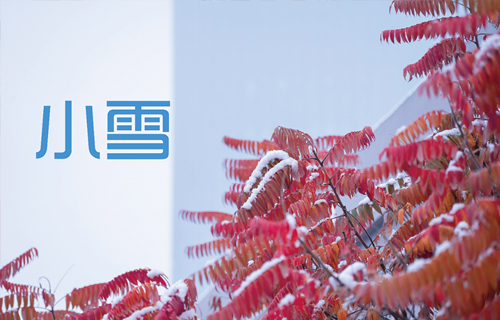 【小雪】科学养生，中医建议做好“5藏”~