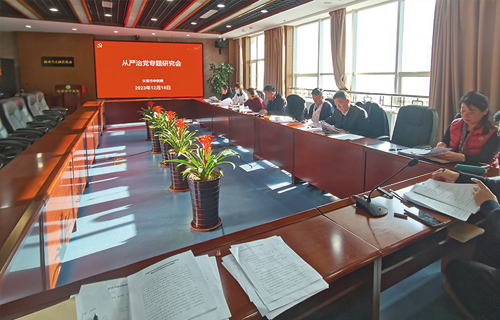 色情片
召开从严治党专题研究会