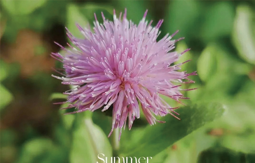 负面情绪太重？！分享给您2个中医小妙招，不妨一试！