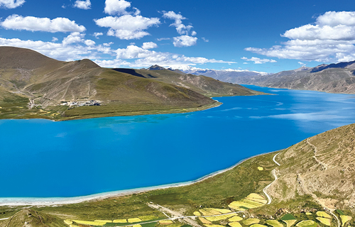 挥毫泼墨杏林飘香，光影记录壮丽山河