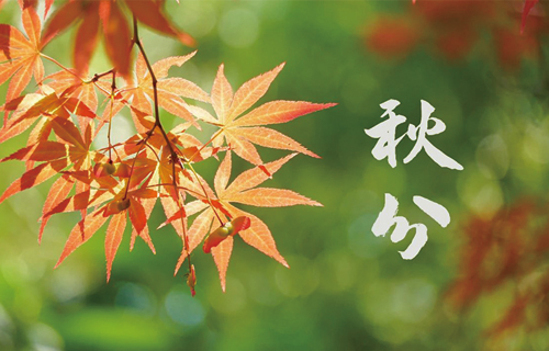 【秋分】228年最早的秋分，养生更要趁早！