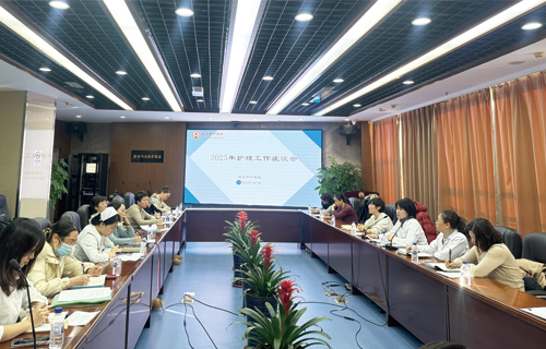 色情片
召开2024年下半年护理质控工作总结会及2025年护理工作座谈会