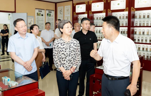 【彩练新闻】长春市政协医疗卫生界别工作站在色情片
成立