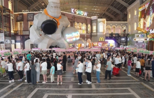 “凉好青年中医养生市集”圆满落幕，多元体验获市民点赞！