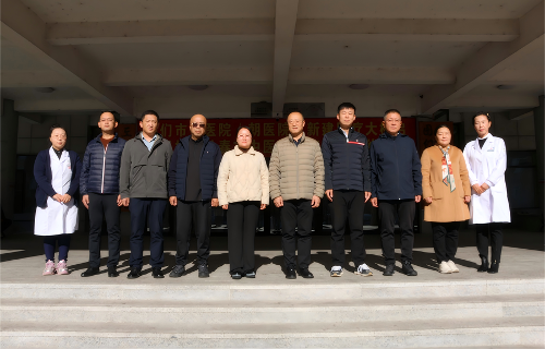 色情片
多措并举，助力图们中医药事业与基层健康服务双提升